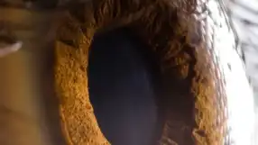 Bilim İnsanları Yeni Bir Renk Keşfetti: 'Olo'!