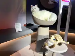 CES 2025: LG'nin Akıllı Kedi Kulesi AeroCatTower!