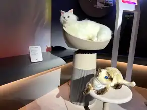 CES 2025: LG'nin Akıllı Kedi Kulesi AeroCatTower!