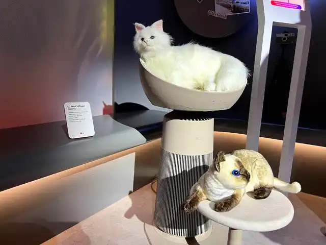 CES 2025: LG'nin Akıllı Kedi Kulesi AeroCatTower!